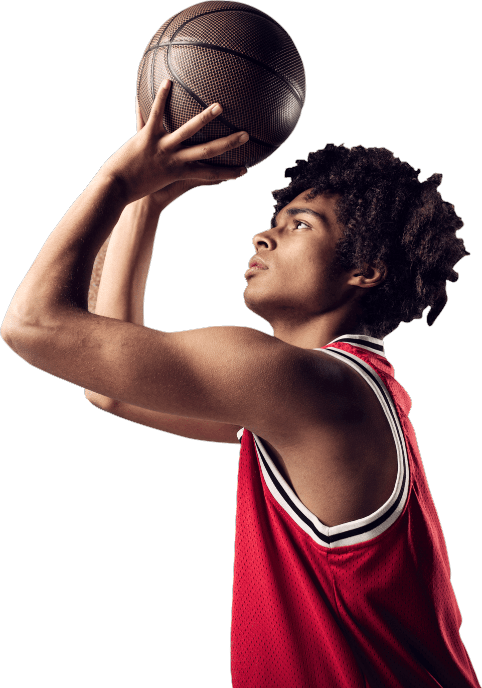 52852870 image 5 1 2.png